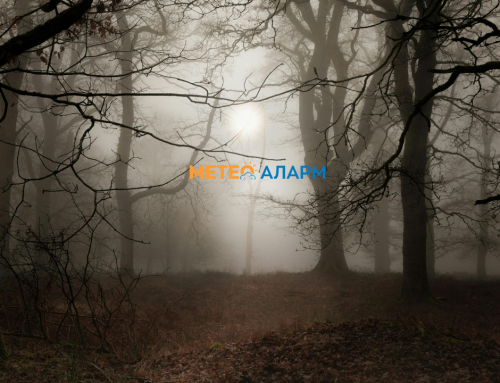 Денешното петочно утро во Македонија ни донесе малку повисоки температури.