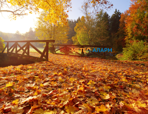 МЕТЕОАЛАРМ НАЈАВА: До крајот на неделава многу сонце, преку ден топло