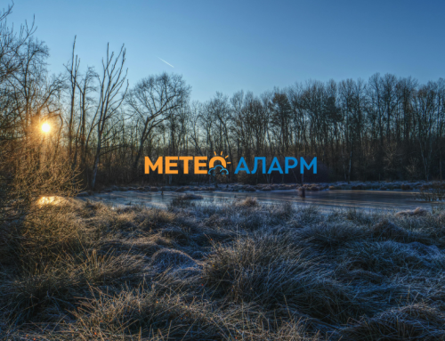 Речиси насекаде имаме појава на слана и на мраз, оваа ноќ е ладна во Македонија