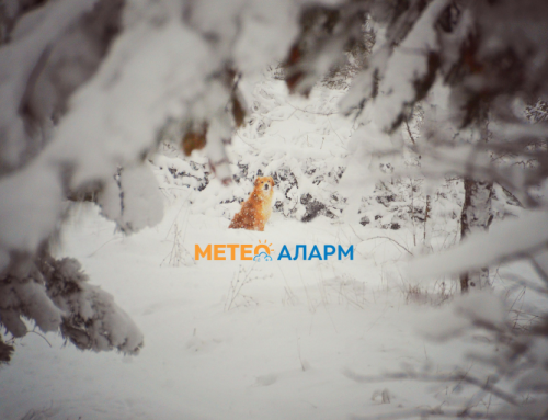 Најнови ексклузивни метео вести: Снег на прагот од новата 2026 година?!