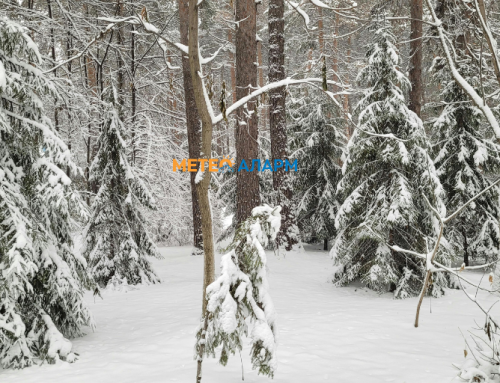 Петок ( 2 Јануари) ни носи снег  и снежна покривка во западните предели