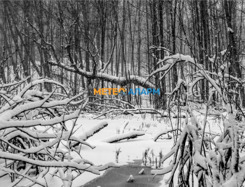 Викендов следува ладен бран проследен со слаб дожд и снег во Македонија