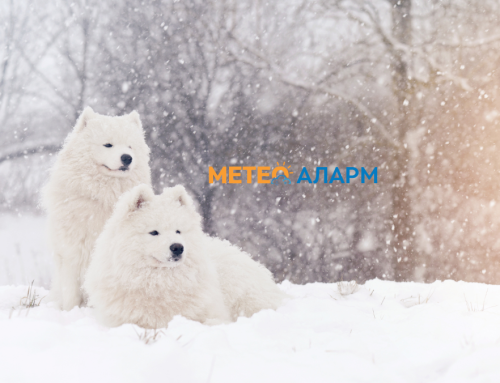 МЕТЕОАЛАРМ ПРЕДУПРЕДУВАЊЕ: Во недела 1 февруари снег на повеќе места