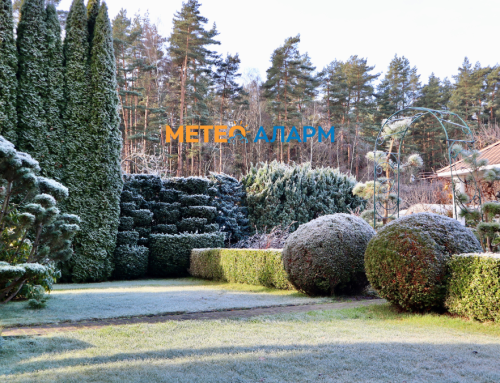 Ладно утро во Македонија на повеќе места со појава на слаб мраз