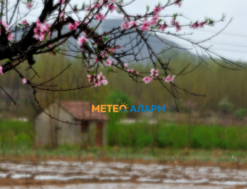 Пријатно утро со локални врнежи од дожд, речиси 70 cм снег на Попова Шапка