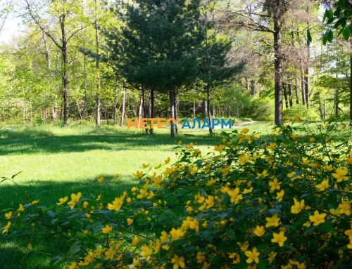 🔥🌧️ Затоплување до викенд, па промена со врнежи – детална најав