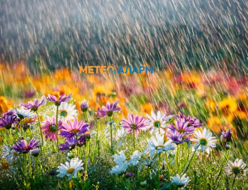 Променливо време во Скопје и Македонија: Следуваат дождливи денови, потоа стабилизација – Метео Аларм