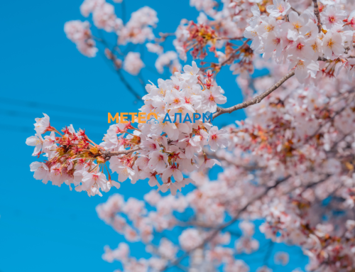 Времето забрзано затоплува, а температурите брзо растат викендов