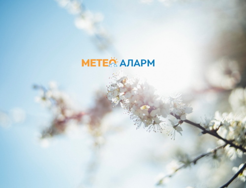 ПЛАНИРАЈТЕ ГО ВИКЕНДОВ: Ќе ни биде без врнежи и вистински пролетен