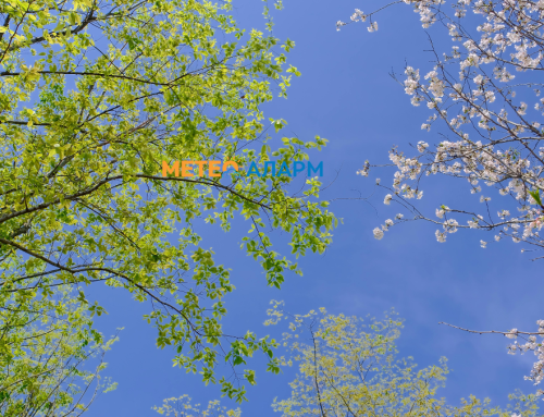 ТОПЛО ПРОЛЕТНО УТРО: Во Македонија ведро време со умерена облачност