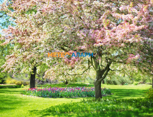 Нагло затопли времето во Македонија: Температурите надминаа 20 степени