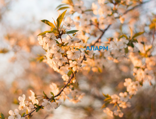 МЕТЕОАЛАРМ НАЈАВА: Ни следуваат неколку значително топли денови