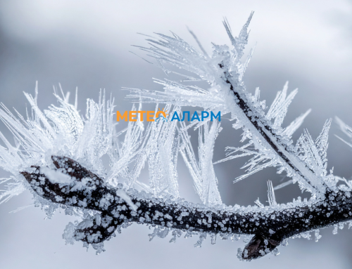 Ладно утро имавме во Македонија, измерени се зимски -4 степени