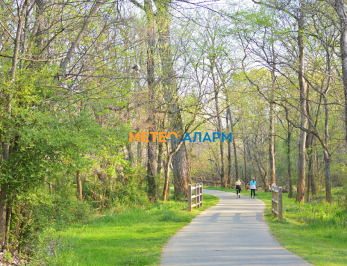 Ден 28 април 2026 вторник: Денот ни беше пролетно топол