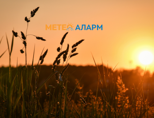 Петок 5 Јуни 2026: Летни температури во Македонија, без големи горештини