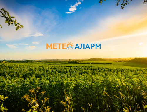 Недела 7 Јуни 2026: Ведро, топло летно утро имавме во Македонија